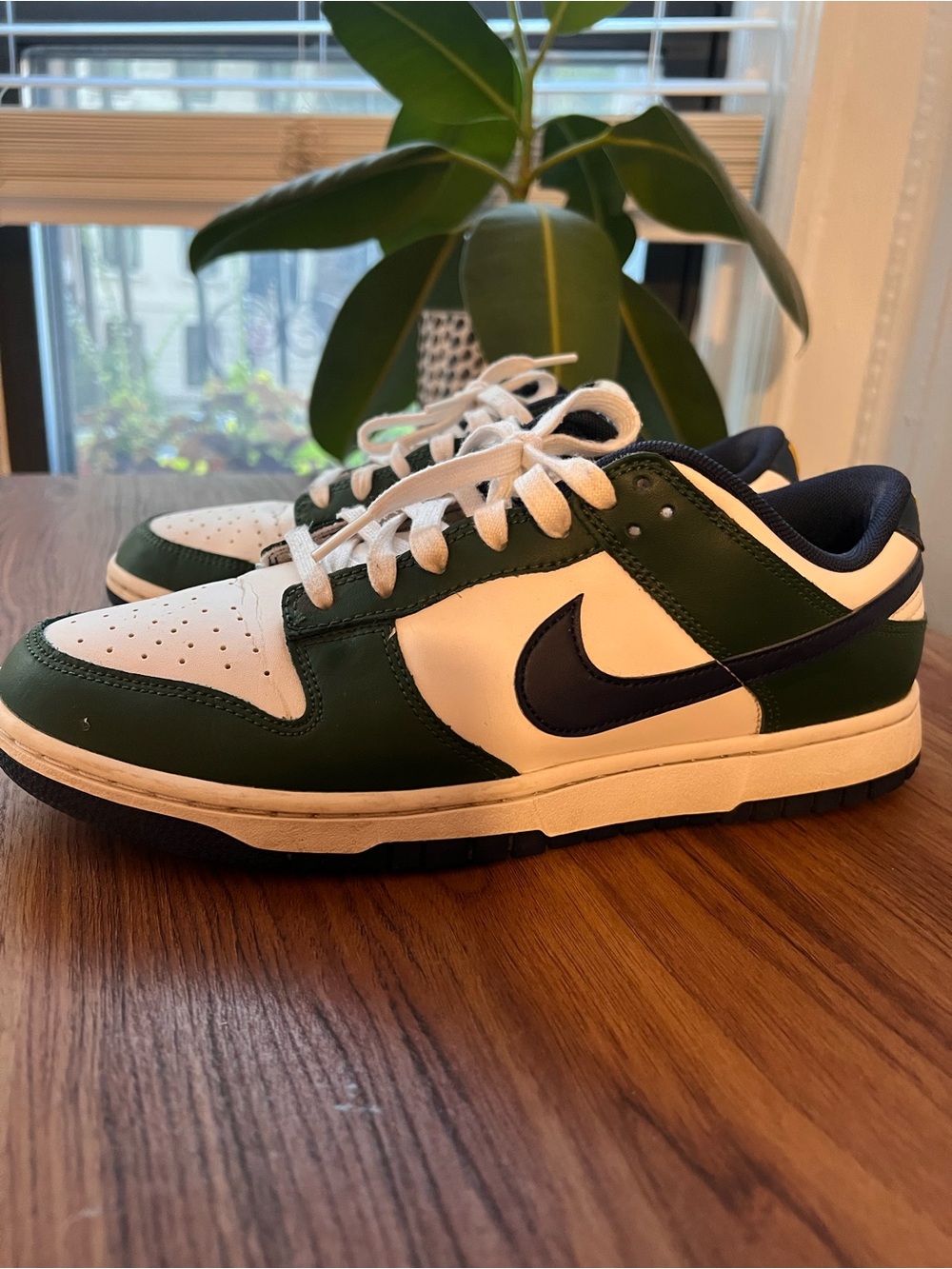 Nike Dunks Men’s Low-Top Sneakers in Green/White